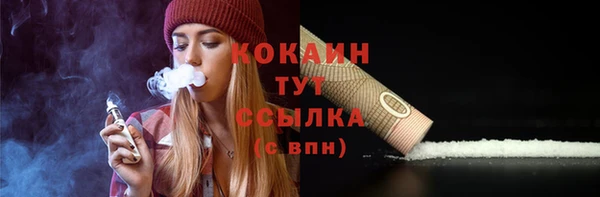 mdpv Вяземский